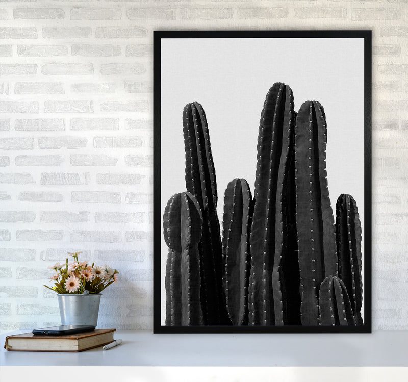 Cactus Black And White Print By Orara Studio, Framed Botanical Art A1 White Frame