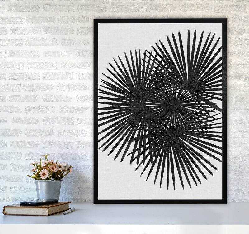 Fan Palm Black & White Print By Orara Studio A1 White Frame