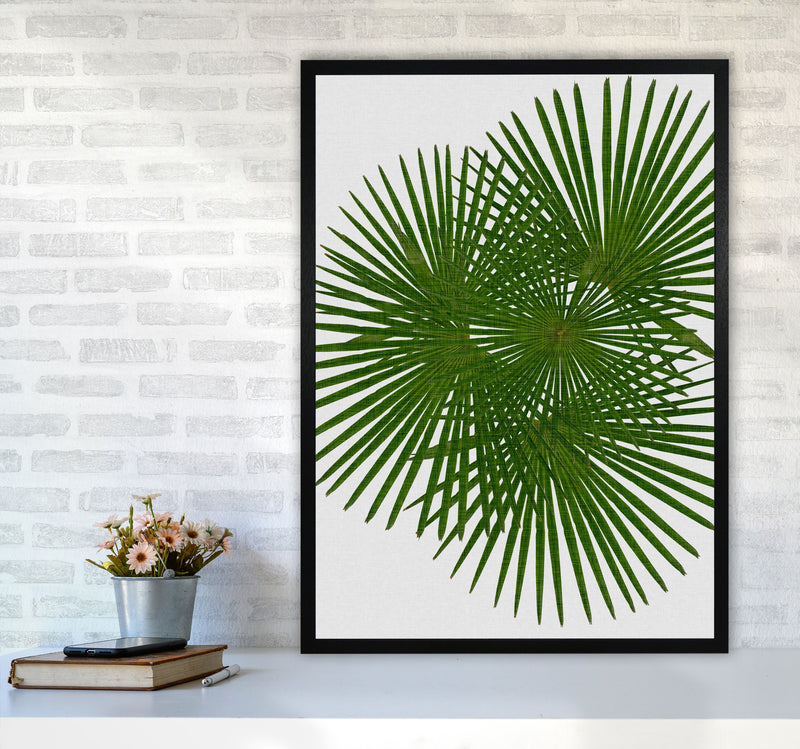Fan Palm Print By Orara Studio, Framed Botanical & Nature Art Print A1 White Frame