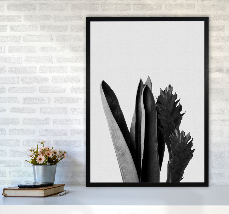 Flower Black & White Print By Orara Studio A1 White Frame