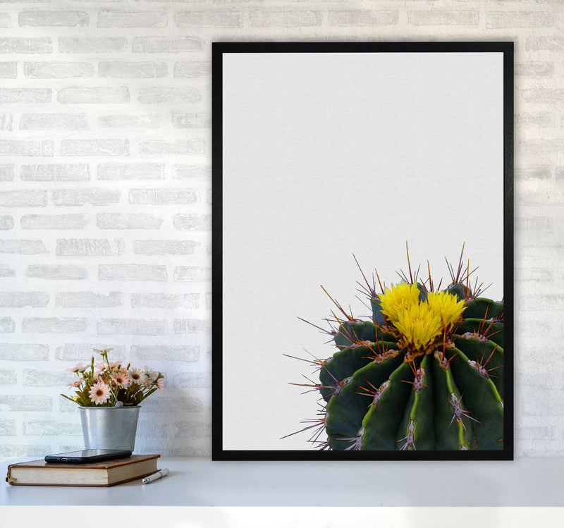 Flower Cactus Print By Orara Studio, Framed Botanical & Nature Art Print A1 White Frame