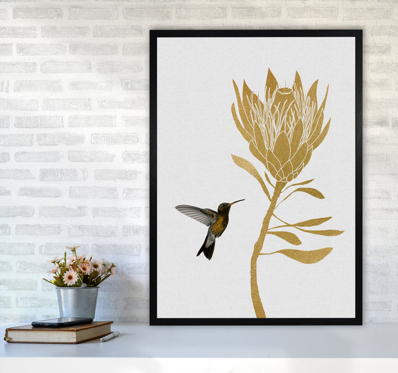 Hummingbird & Flower I Print By Orara Studio A1 White Frame