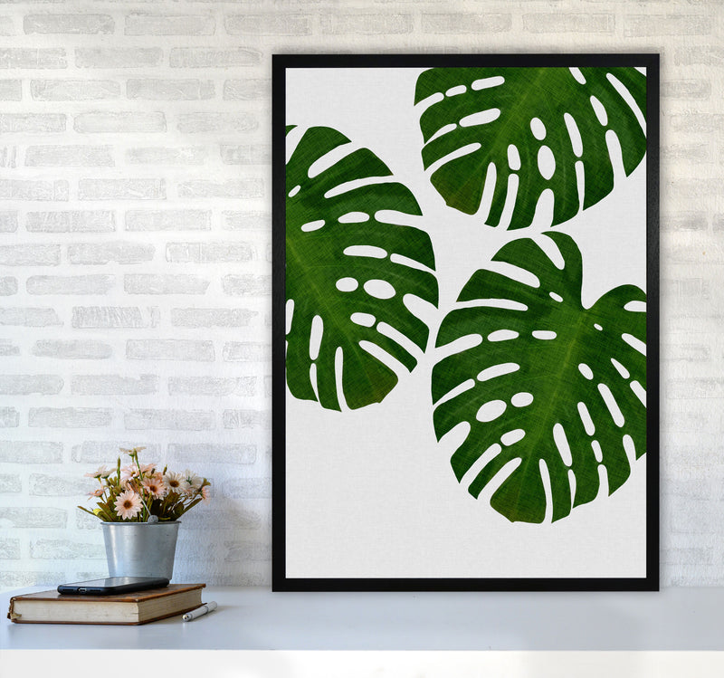 Monstera Leaf III Print By Orara Studio, Framed Botanical & Nature Art Print A1 White Frame