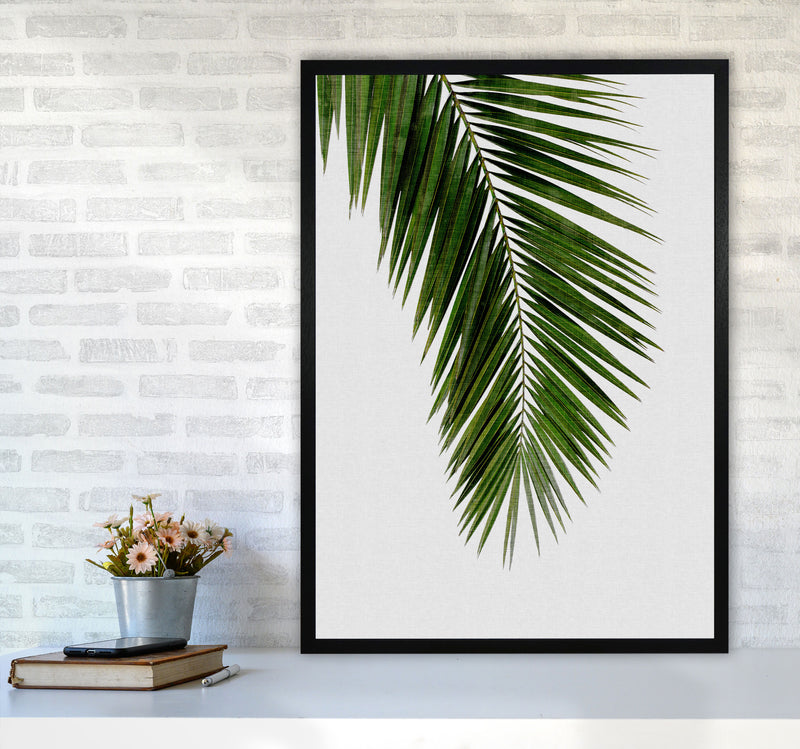 Palm Leaf I Print By Orara Studio, Framed Botanical & Nature Art Print A1 White Frame