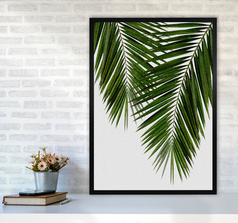 Palm Leaf II Print By Orara Studio, Framed Botanical & Nature Art Print A1 White Frame