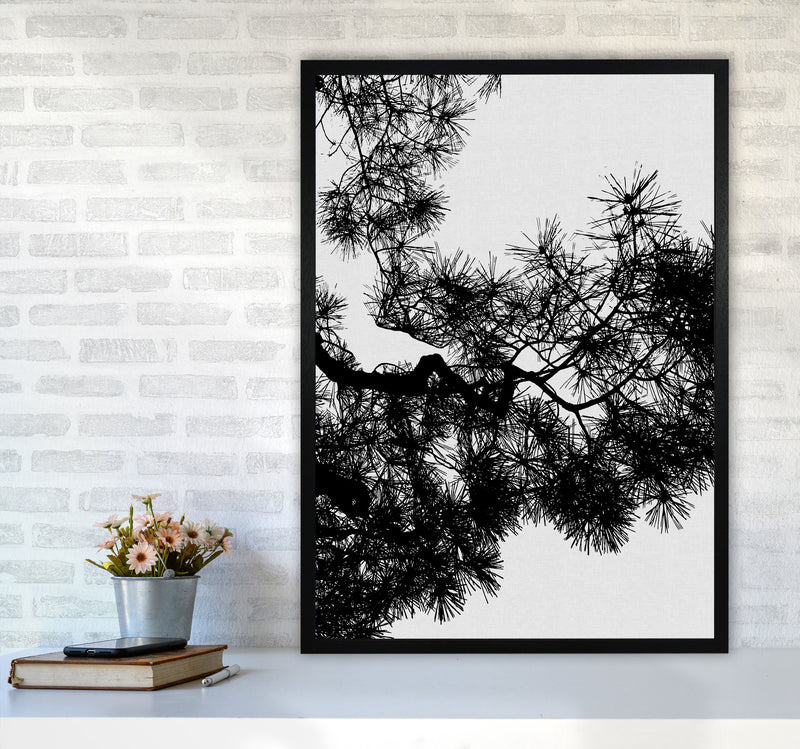 Pine Tree Black & White Print By Orara Studio A1 White Frame
