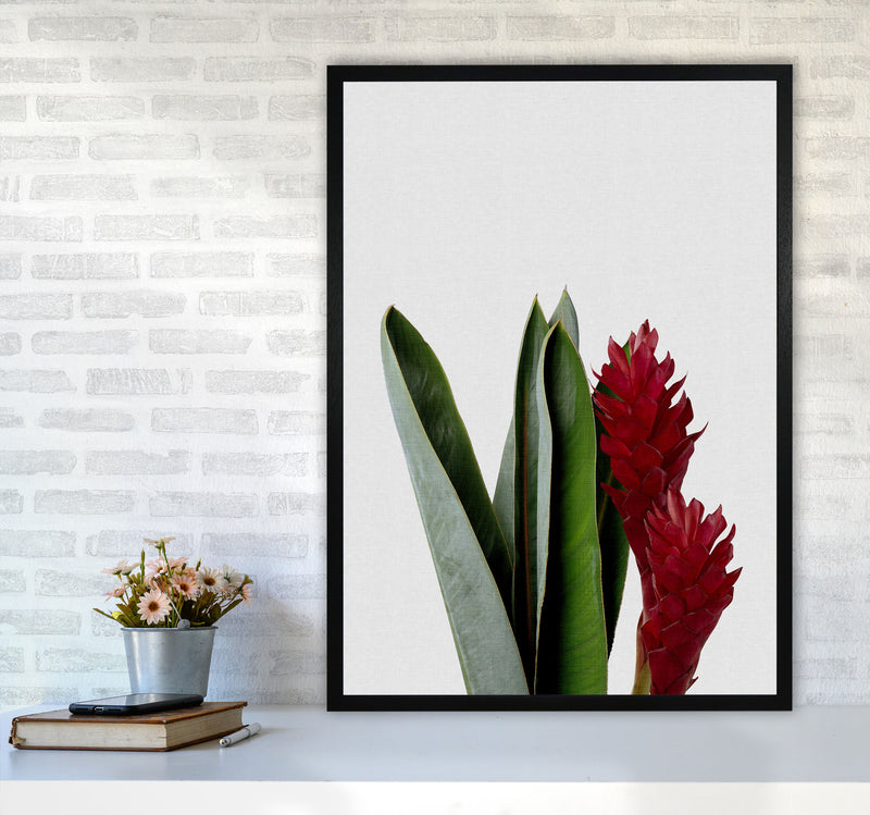 Red Flower Print By Orara Studio, Framed Botanical & Nature Art Print A1 White Frame