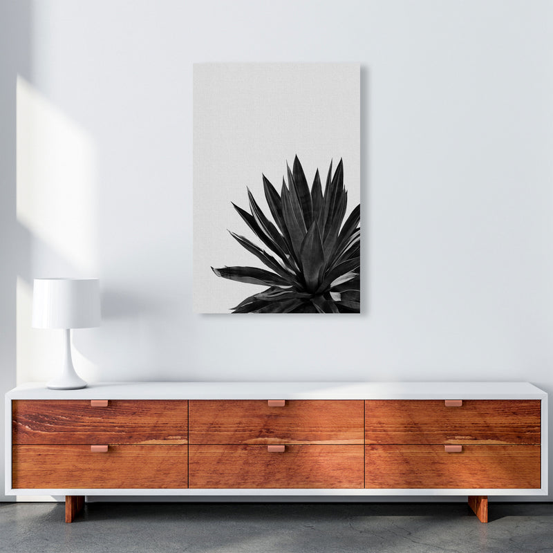 Agave Cactus Black And White Print By Orara Studio, Framed Botanical Nature Art A1 Canvas