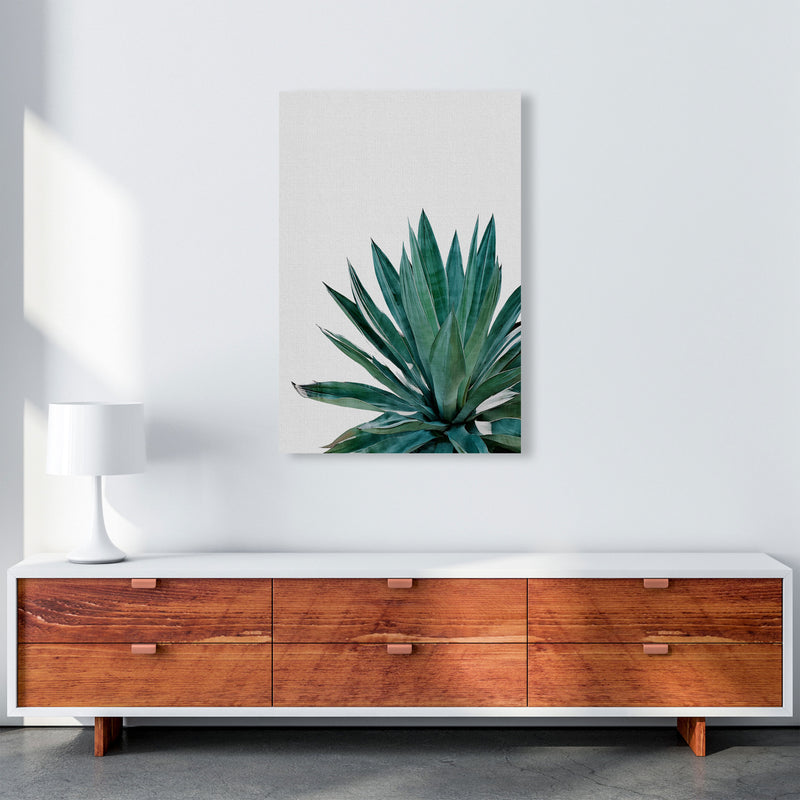 Agave Cactus Print By Orara Studio, Framed Botanical & Nature Art Print A1 Canvas