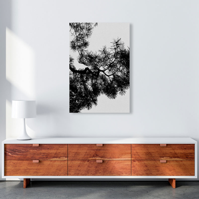 Pine Tree Black & White Print By Orara Studio A1 Canvas