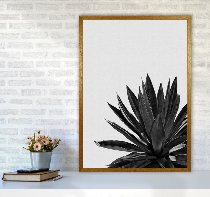 Agave Cactus Black And White Print By Orara Studio, Framed Botanical Nature Art A1 Print Only