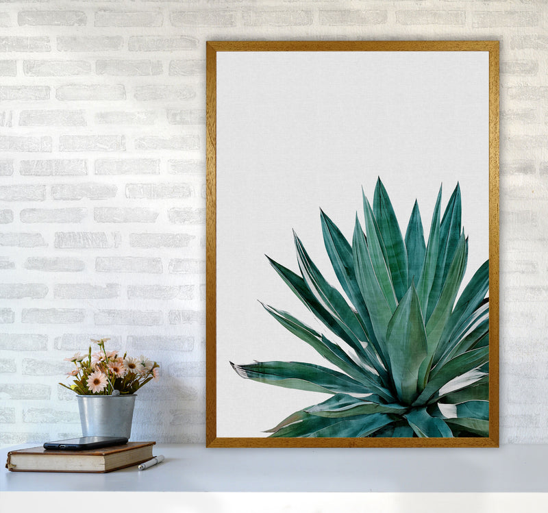 Agave Cactus Print By Orara Studio, Framed Botanical & Nature Art Print A1 Print Only