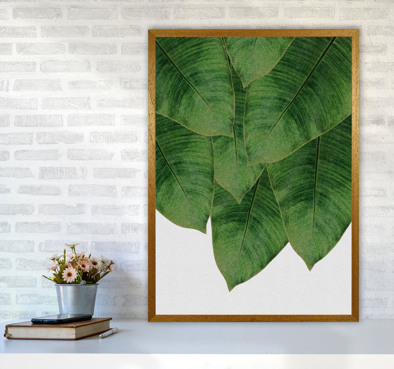 Banana Leaf III Print By Orara Studio, Framed Botanical & Nature Art Print A1 Print Only