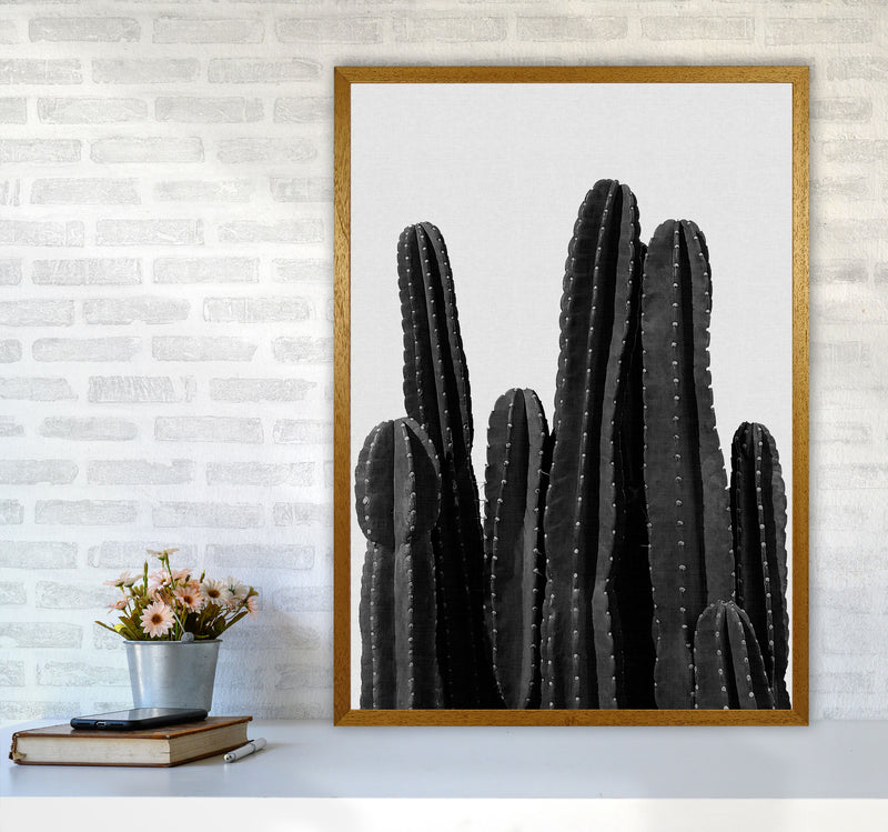 Cactus Black And White Print By Orara Studio, Framed Botanical Art A1 Print Only