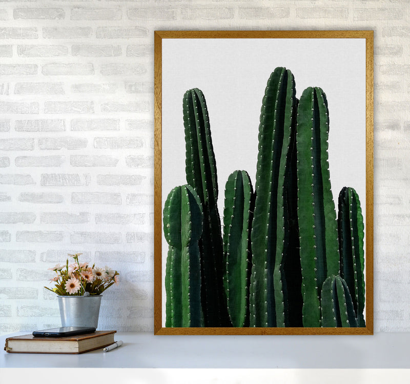 Cactus I Print By Orara Studio, Framed Botanical & Nature Art Print A1 Print Only