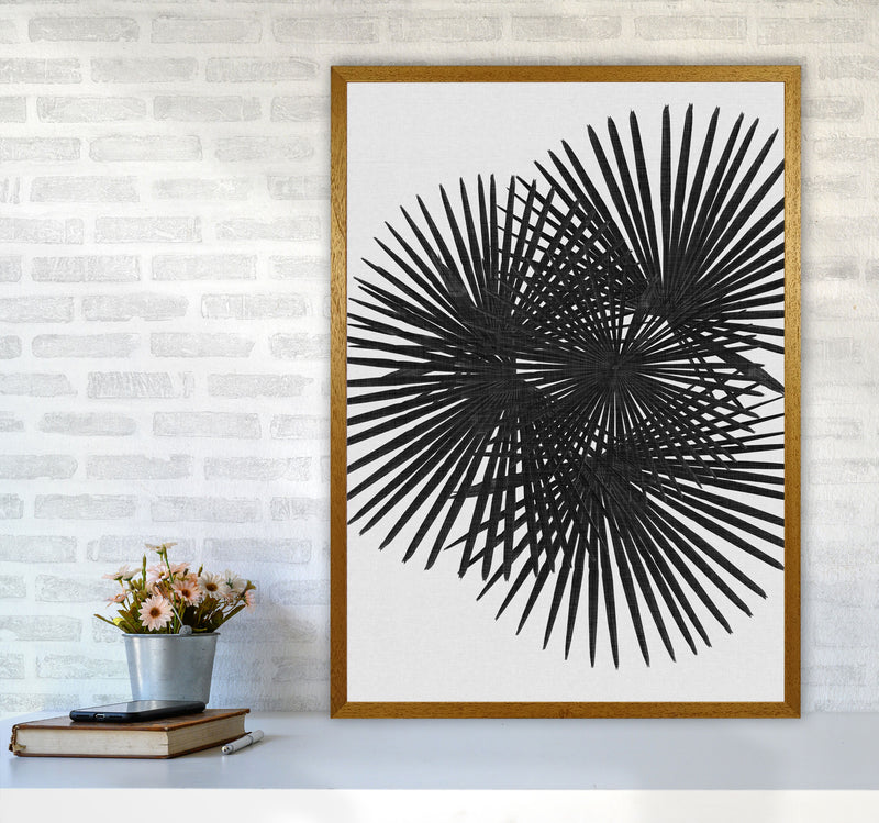 Fan Palm Black & White Print By Orara Studio A1 Print Only