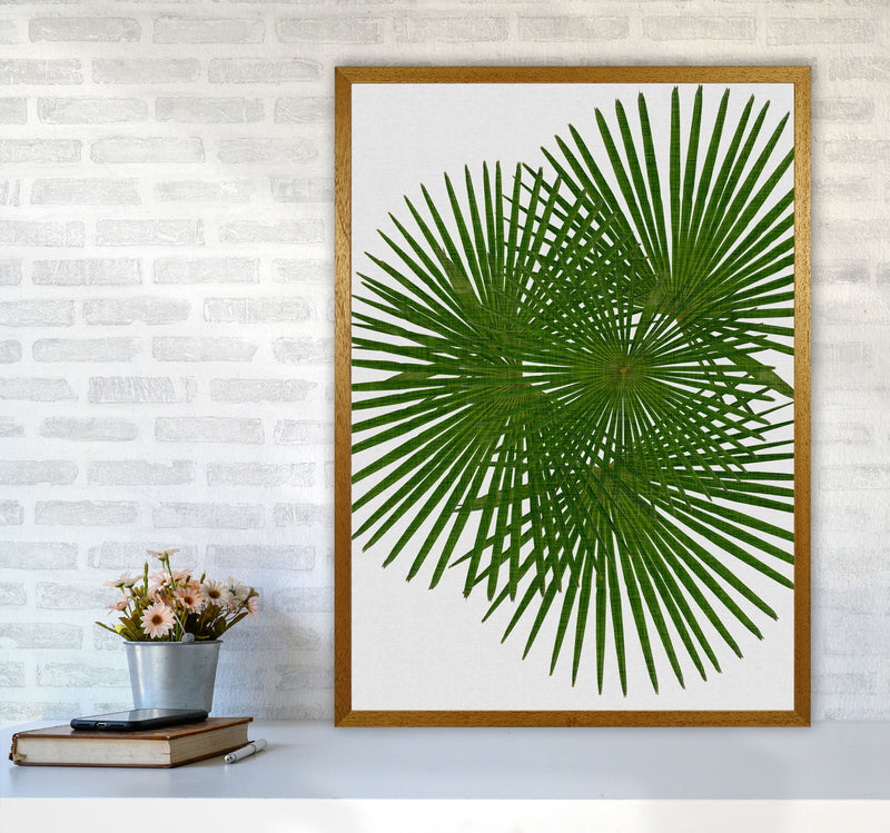 Fan Palm Print By Orara Studio, Framed Botanical & Nature Art Print A1 Print Only