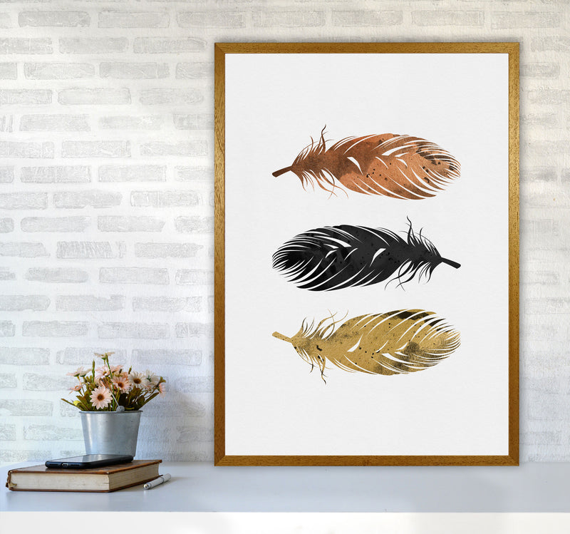 Feathers Print By Orara Studio, Framed Botanical & Nature Art Print A1 Print Only
