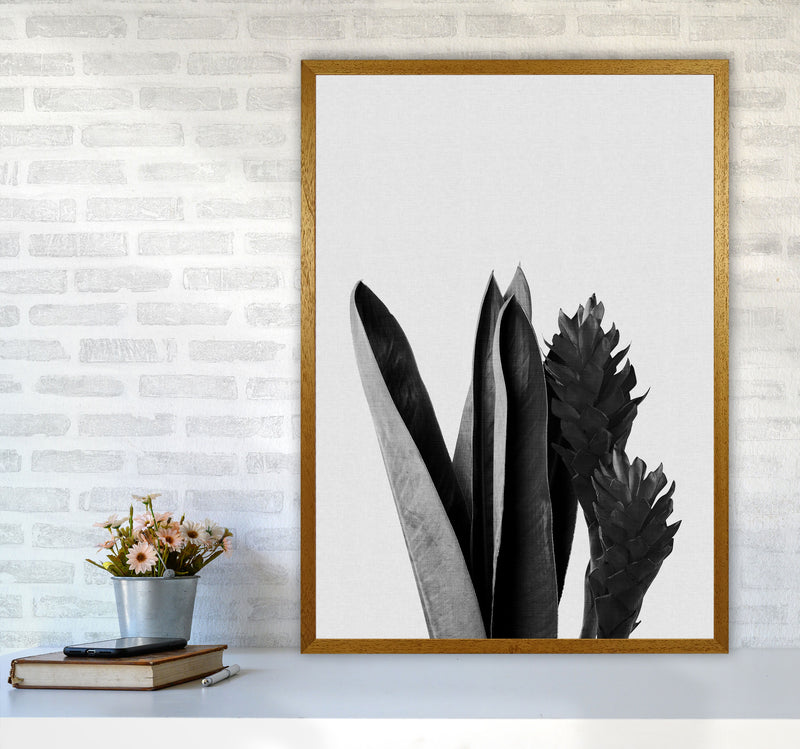 Flower Black & White Print By Orara Studio A1 Print Only