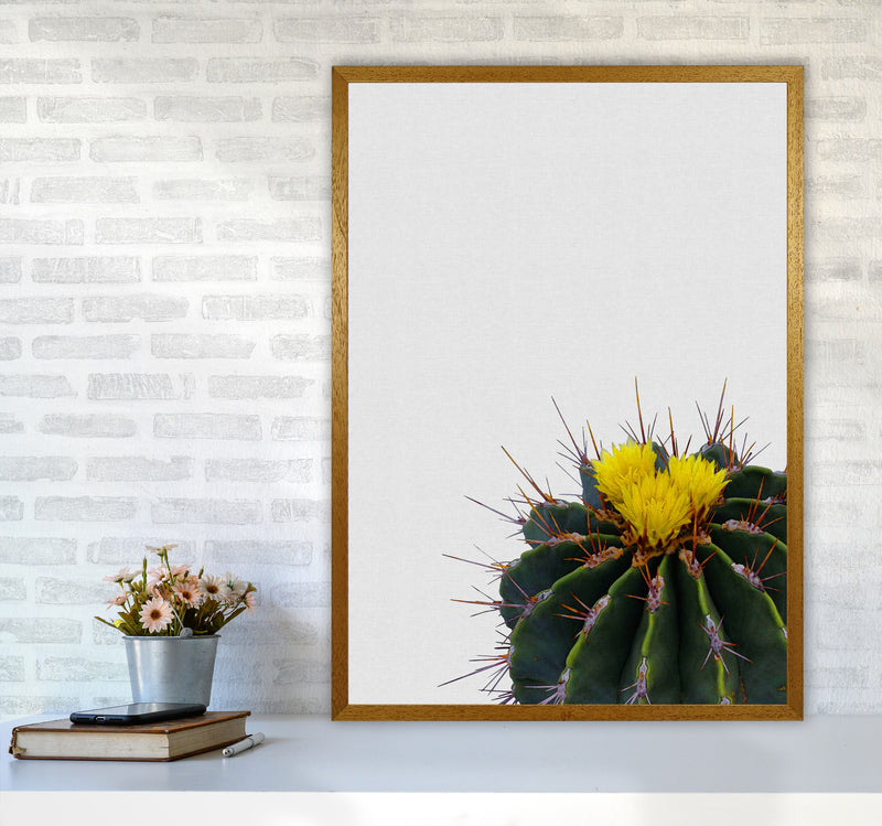 Flower Cactus Print By Orara Studio, Framed Botanical & Nature Art Print A1 Print Only