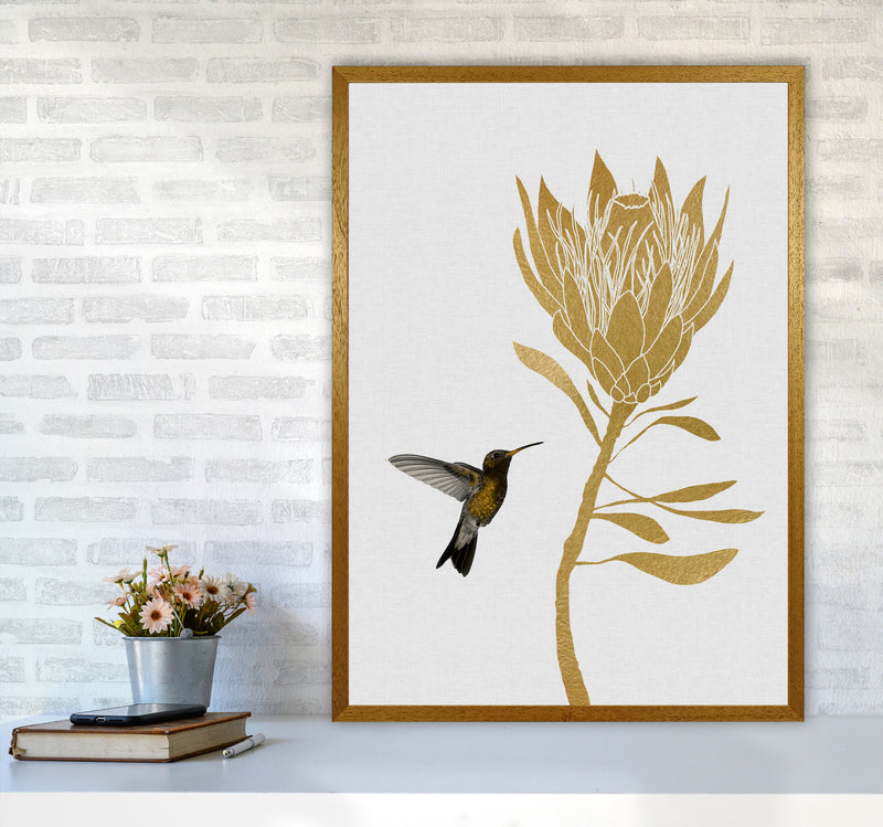 Hummingbird & Flower I Print By Orara Studio A1 Print Only
