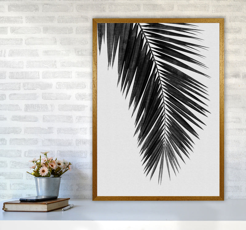 Palm Leaf Black & White I Print By Orara Studio A1 Print Only