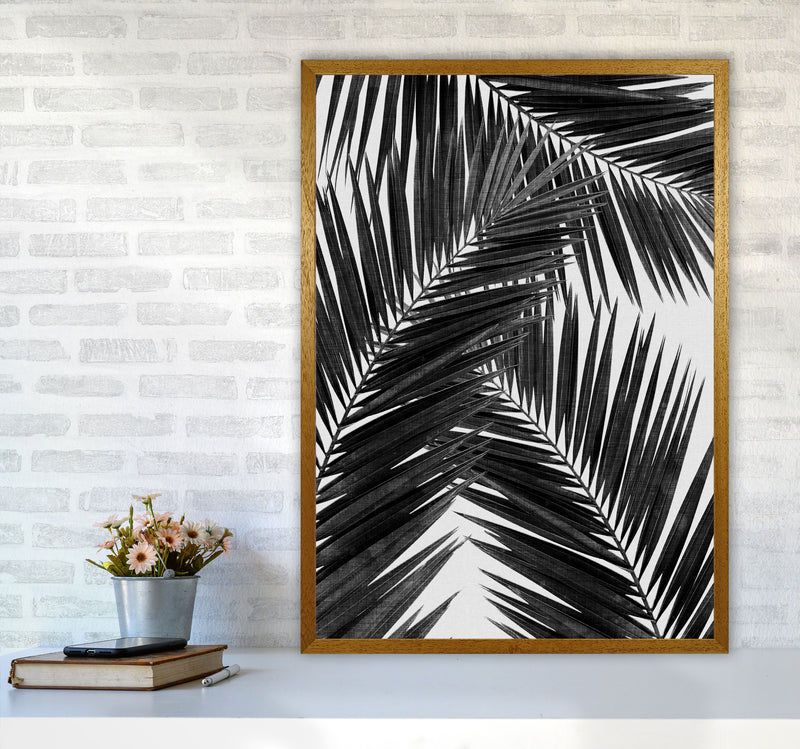 Palm Leaf Black & White III Print By Orara Studio A1 Print Only