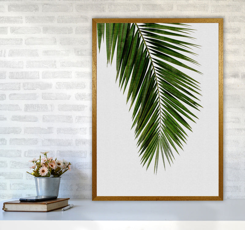Palm Leaf I Print By Orara Studio, Framed Botanical & Nature Art Print A1 Print Only