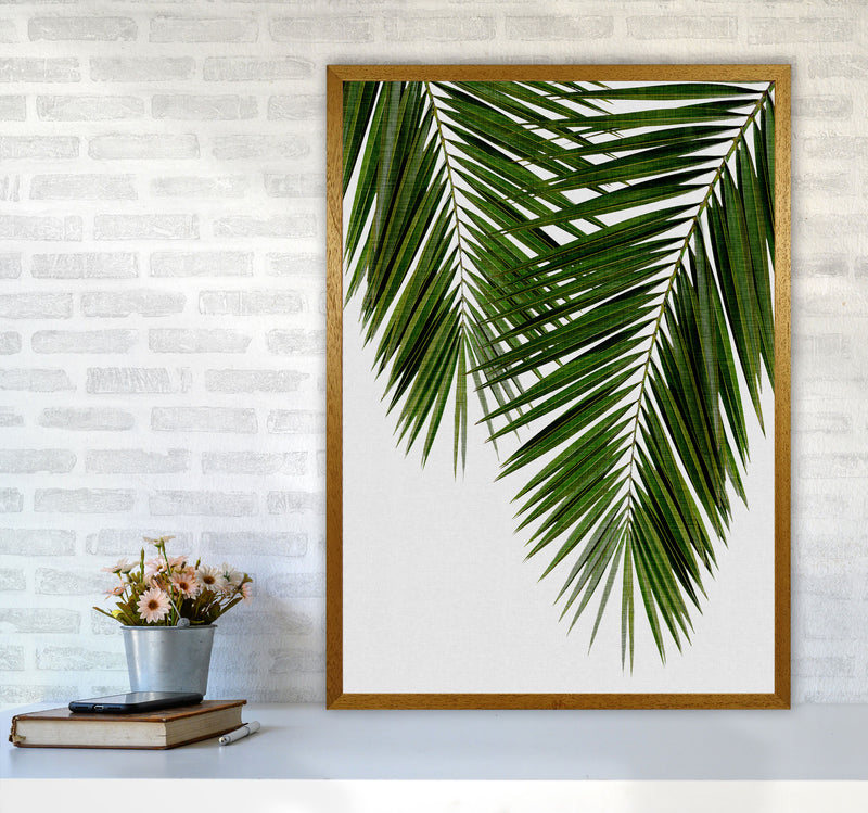 Palm Leaf II Print By Orara Studio, Framed Botanical & Nature Art Print A1 Print Only