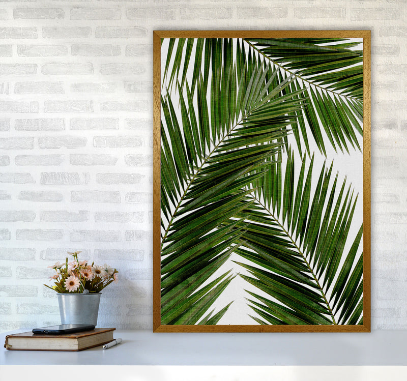 Palm Leaf III Print By Orara Studio, Framed Botanical & Nature Art Print A1 Print Only