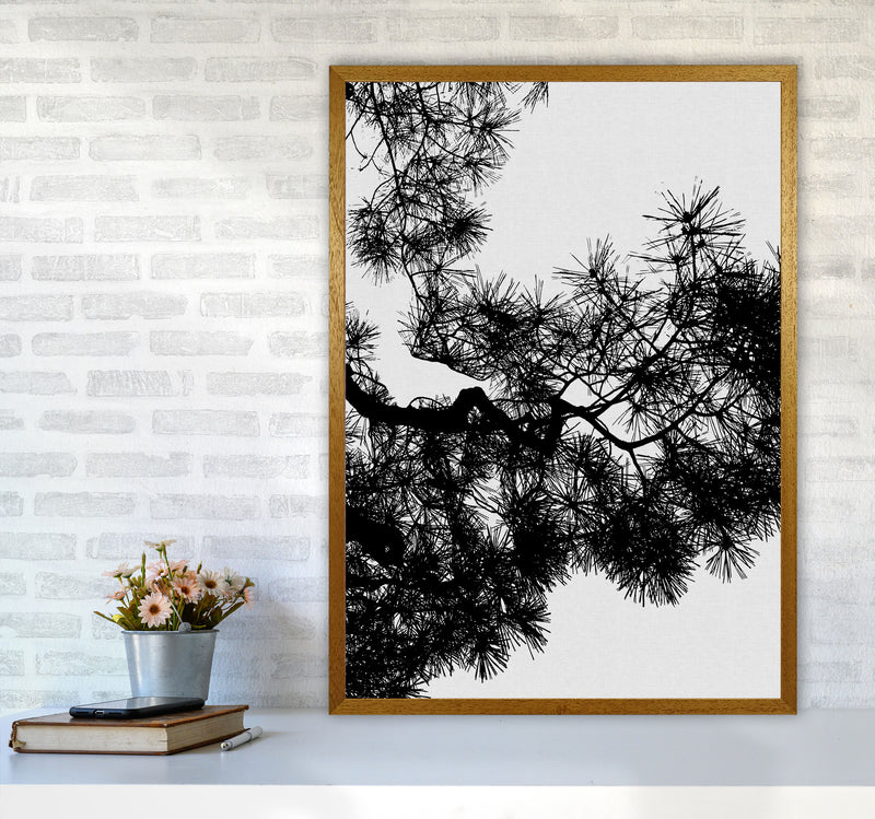 Pine Tree Black & White Print By Orara Studio A1 Print Only