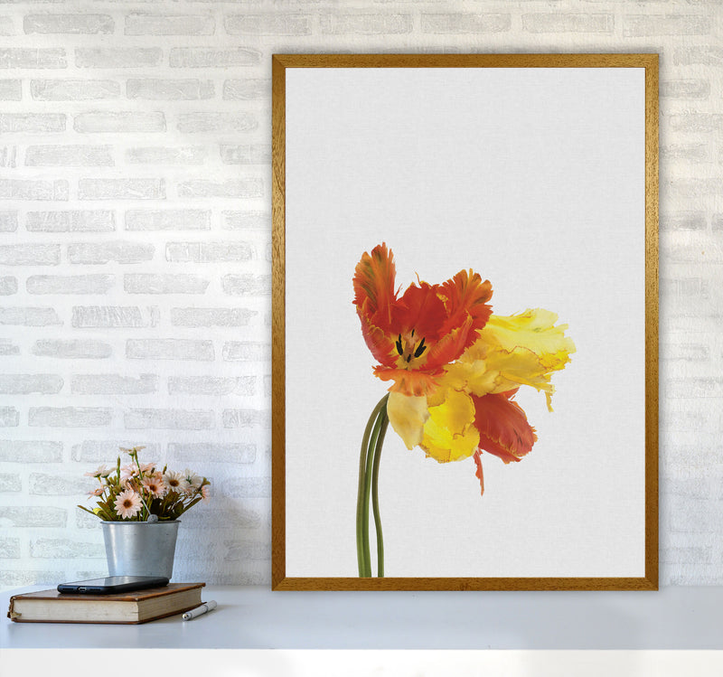 Tulip Still Life Print By Orara Studio, Framed Botanical & Nature Art Print A1 Print Only