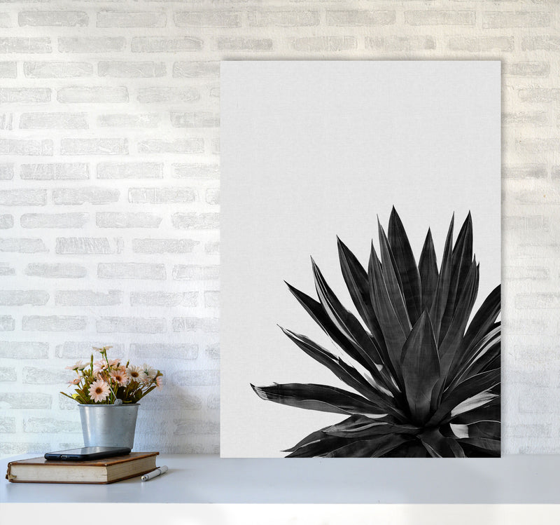 Agave Cactus Black And White Print By Orara Studio, Framed Botanical Nature Art A1 Black Frame