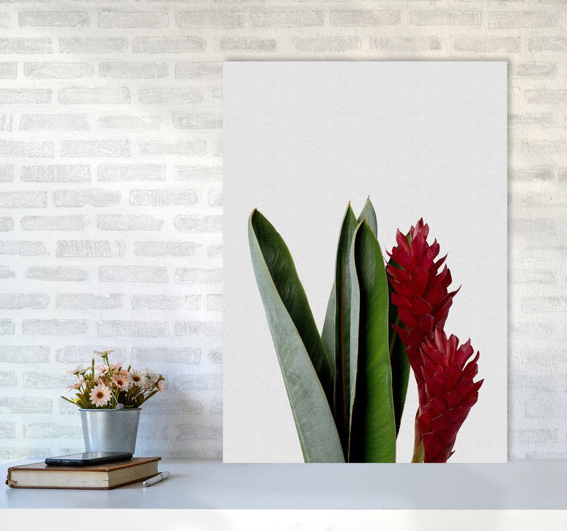 Red Flower Print By Orara Studio, Framed Botanical & Nature Art Print A1 Black Frame