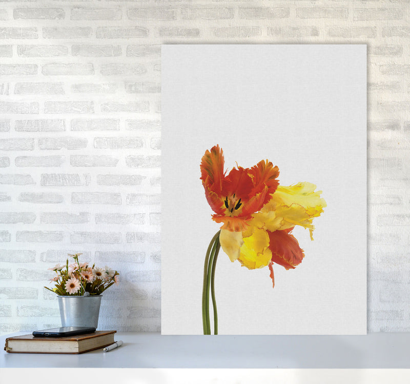 Tulip Still Life Print By Orara Studio, Framed Botanical & Nature Art Print A1 Black Frame
