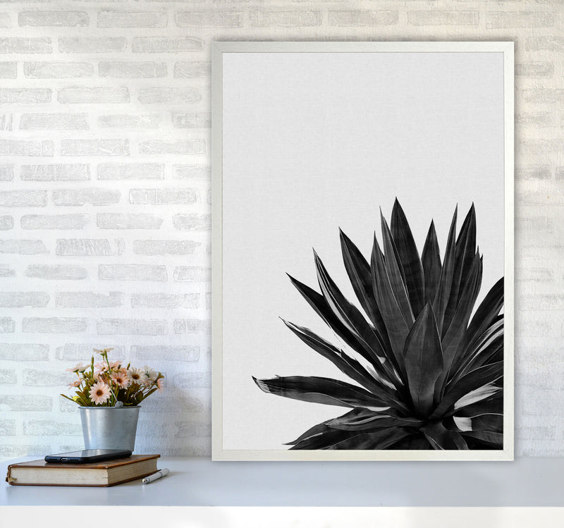 Agave Cactus Black And White Print By Orara Studio, Framed Botanical Nature Art A1 Oak Frame