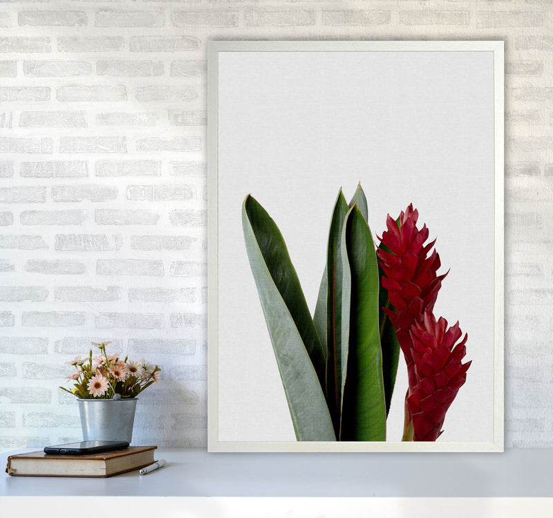 Red Flower Print By Orara Studio, Framed Botanical & Nature Art Print A1 Oak Frame