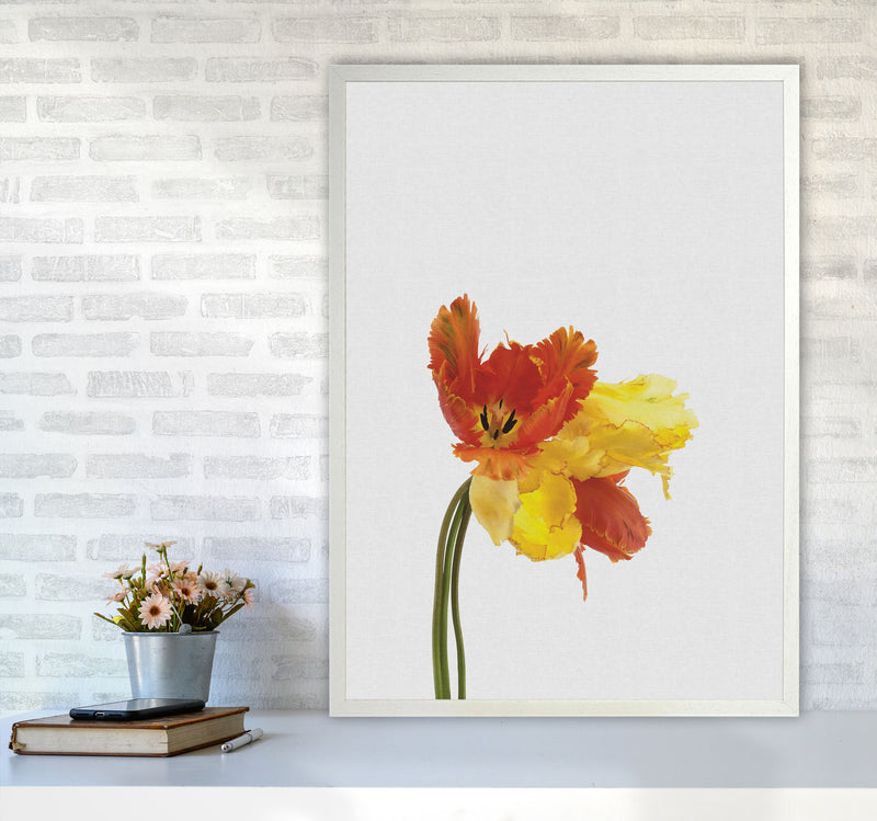 Tulip Still Life Print By Orara Studio, Framed Botanical & Nature Art Print A1 Oak Frame