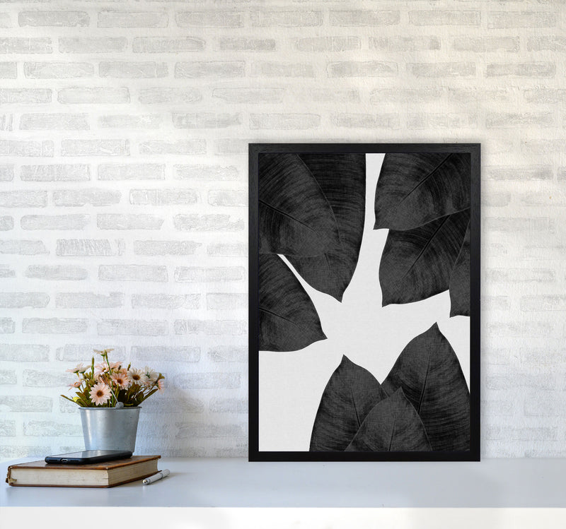 Banana Leaf Black & White I Print By Orara Studio A2 White Frame