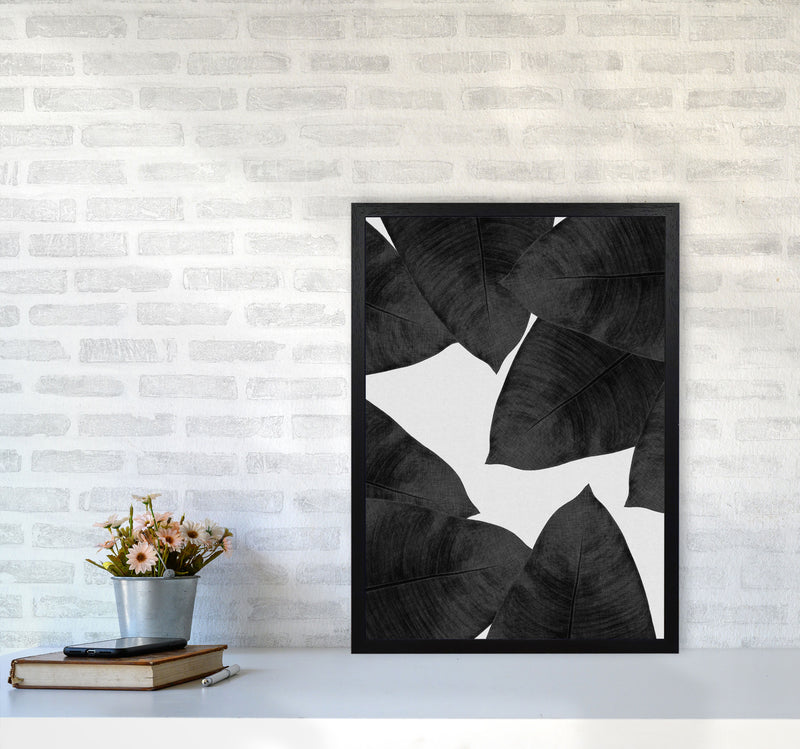 Banana Leaf Black & White II Print By Orara Studio A2 White Frame