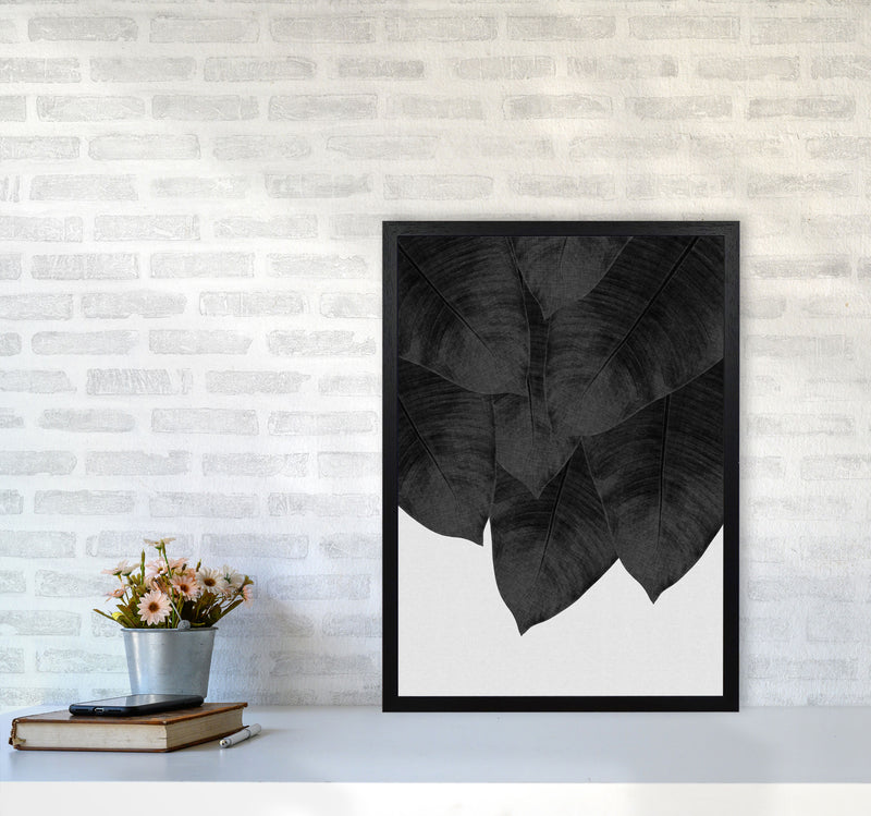 Banana Leaf Black & White III Print By Orara Studio A2 White Frame