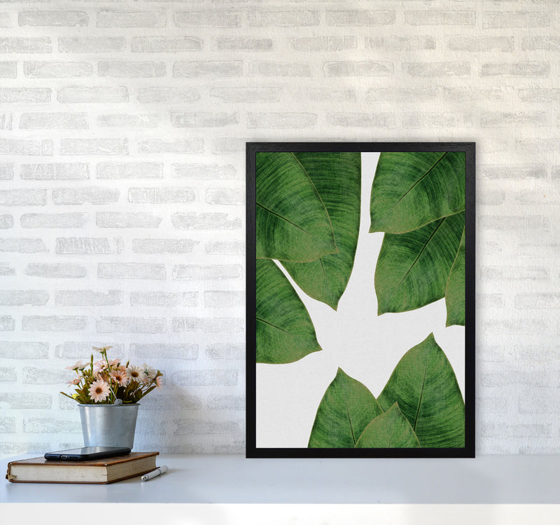 Banana Leaf I Print By Orara Studio, Framed Botanical & Nature Art Print A2 White Frame