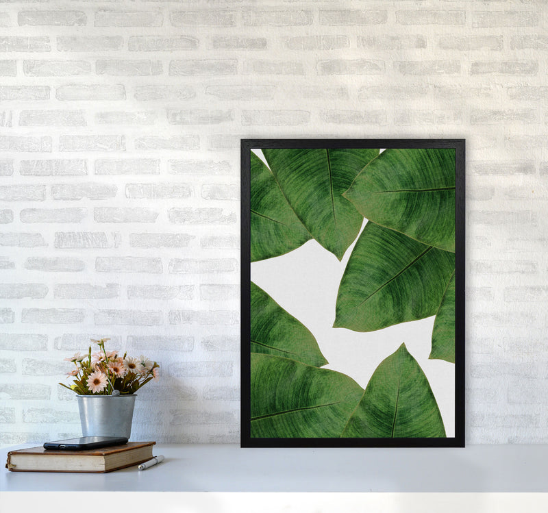 Banana Leaf II Print By Orara Studio, Framed Botanical & Nature Art Print A2 White Frame
