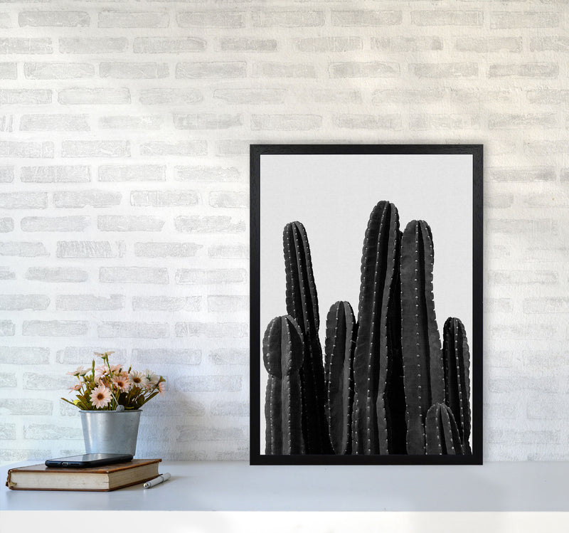 Cactus Black And White Print By Orara Studio, Framed Botanical Art A2 White Frame