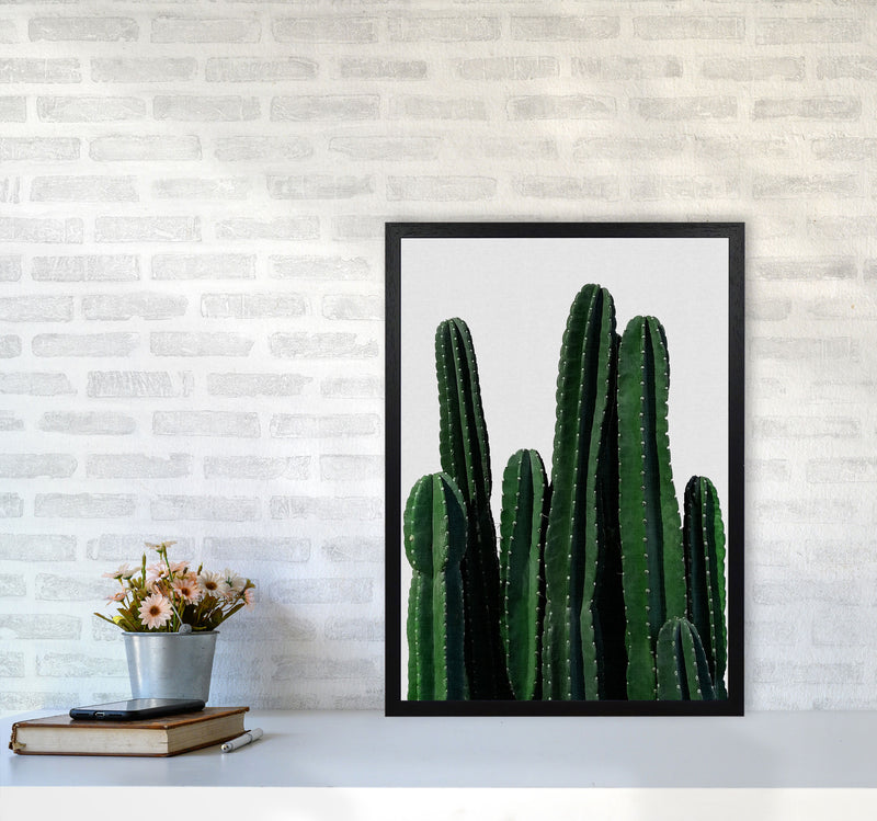 Cactus I Print By Orara Studio, Framed Botanical & Nature Art Print A2 White Frame