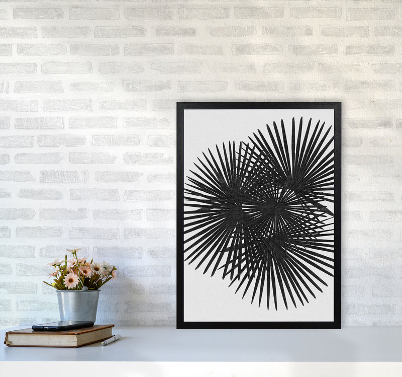 Fan Palm Black & White Print By Orara Studio A2 White Frame