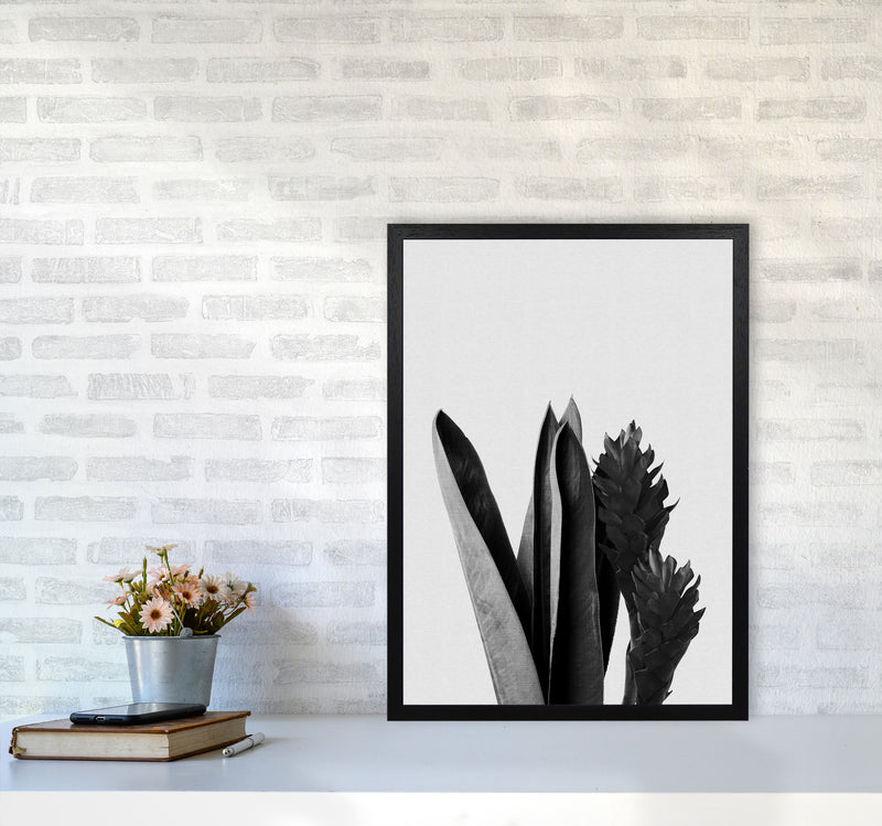 Flower Black & White Print By Orara Studio A2 White Frame