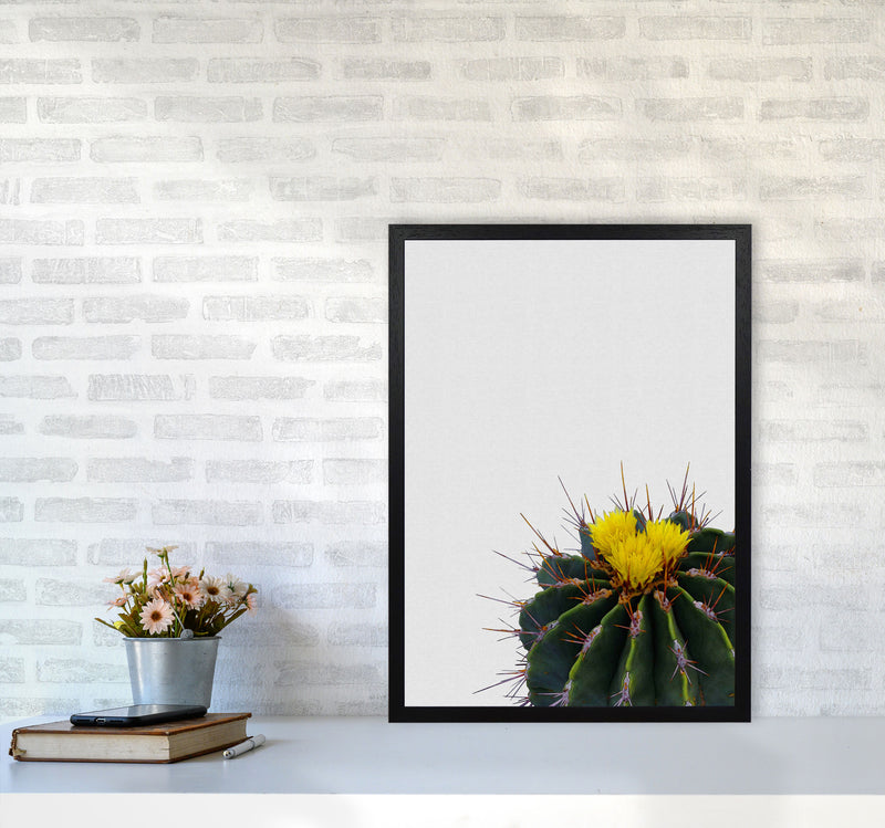 Flower Cactus Print By Orara Studio, Framed Botanical & Nature Art Print A2 White Frame