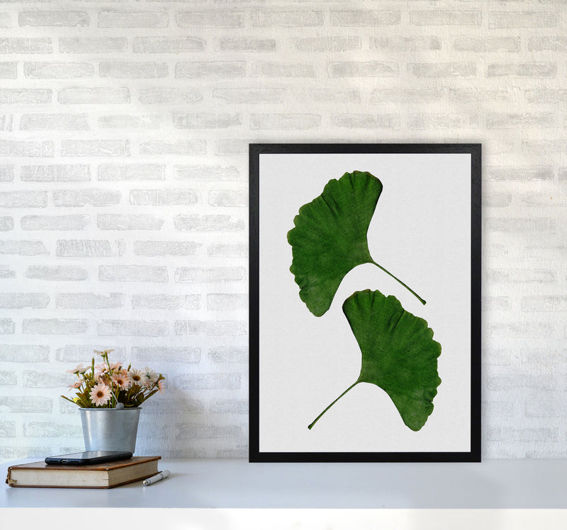 Ginkgo Leaf II Print By Orara Studio, Framed Botanical & Nature Art Print A2 White Frame