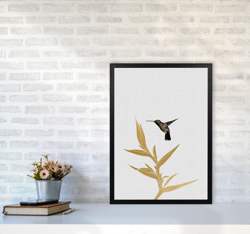 Hummingbird & Flower II Print By Orara Studio A2 White Frame